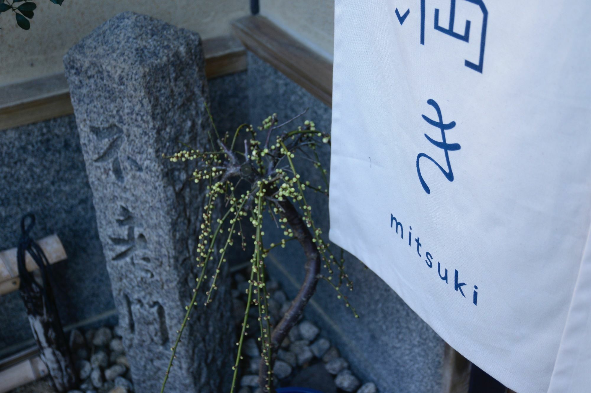 Mitsuki Kyoto Hotel Buitenkant foto