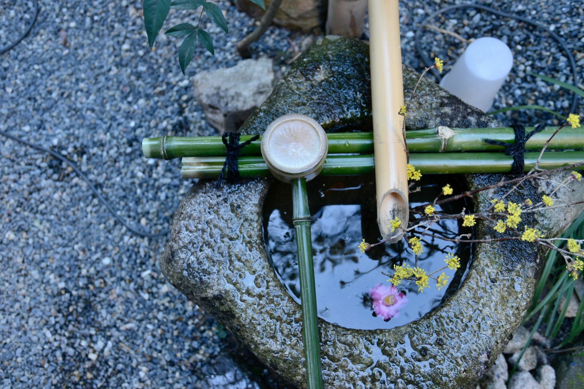 Mitsuki Kyoto Hotel Buitenkant foto