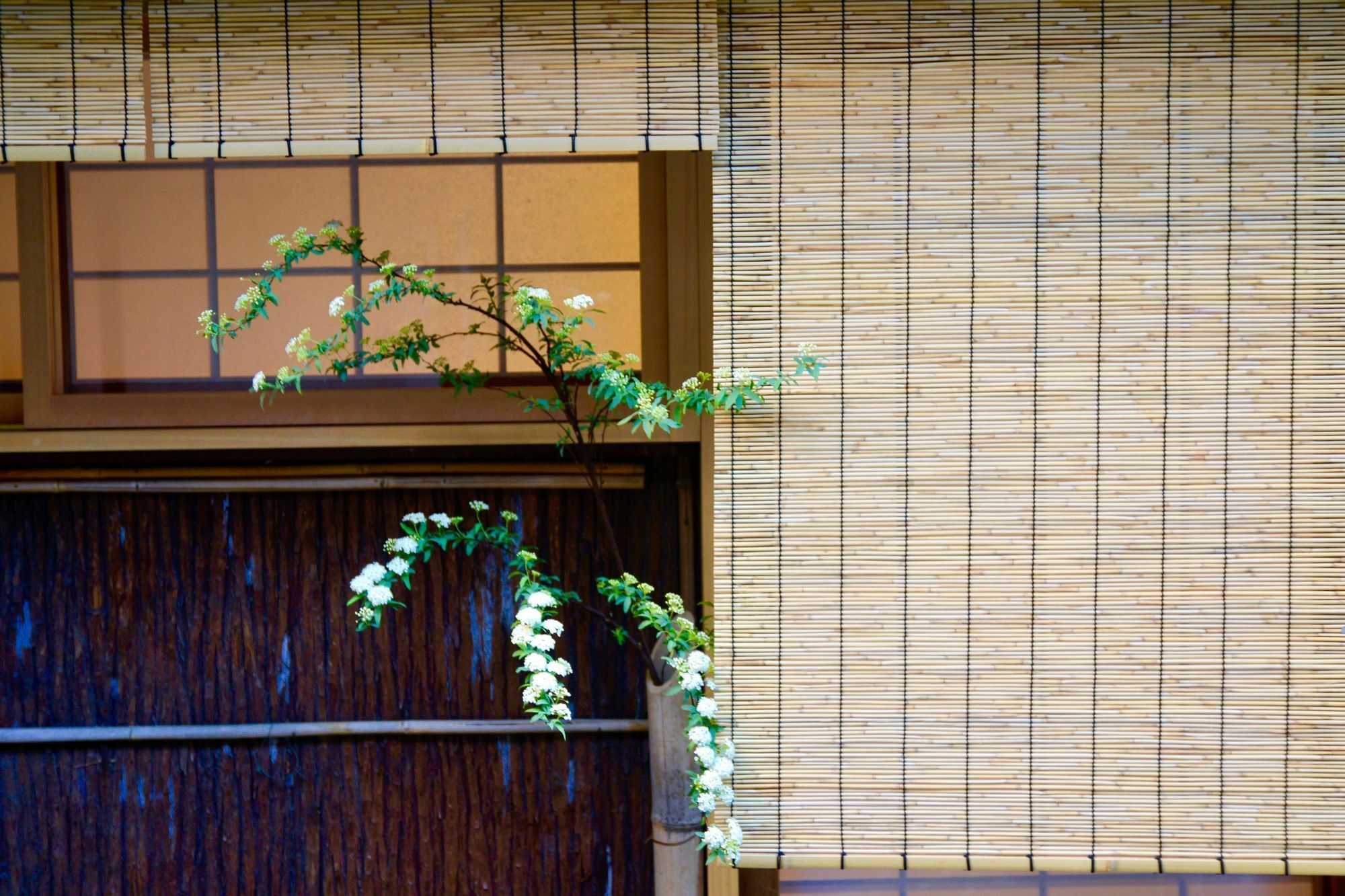 Mitsuki Kyoto Hotel Buitenkant foto